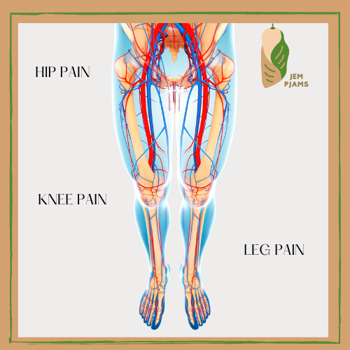 lower body anatomy showing hip pain, knee pain and leg pain